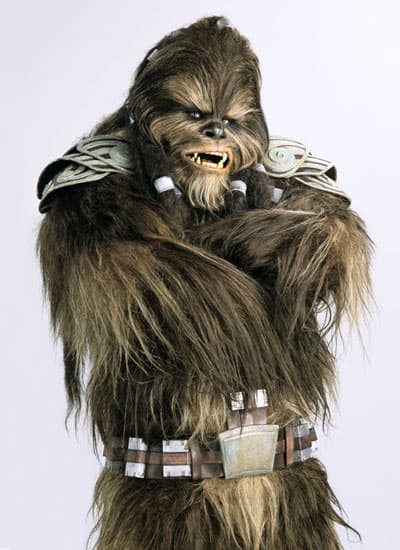 Wookie